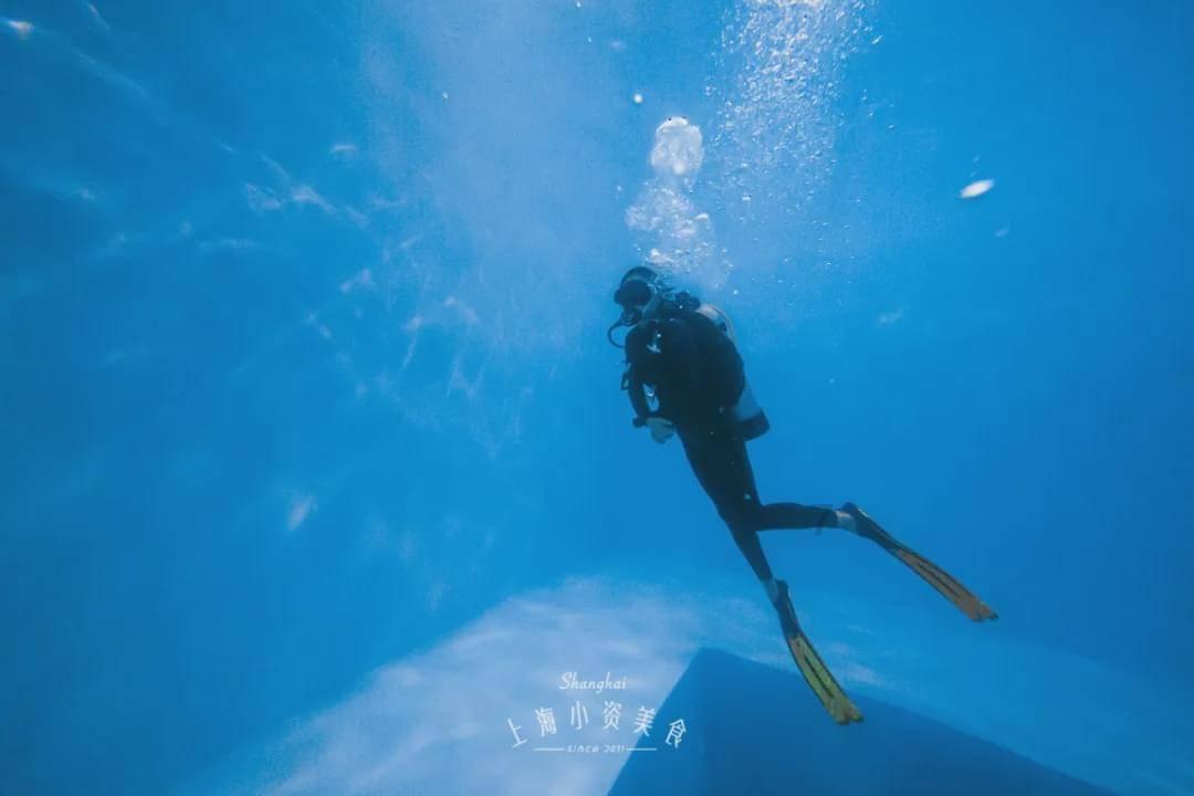 逃离橡子树种植地